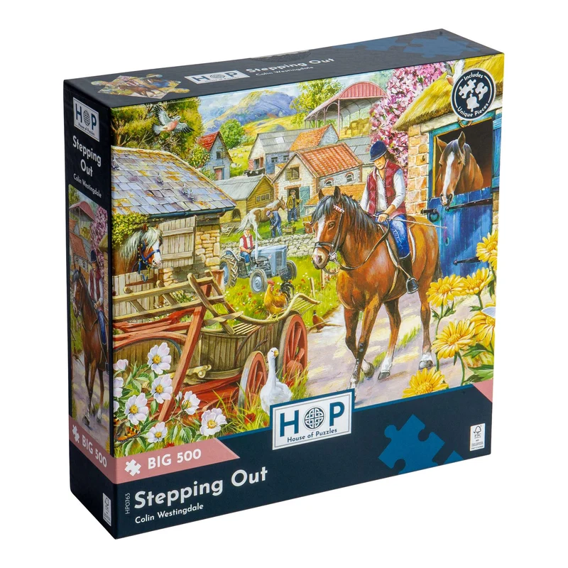 Stepping Out BIG 500 Puzzle