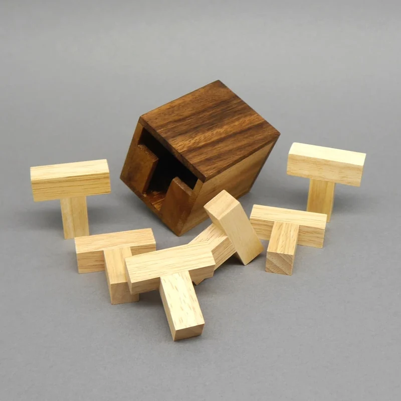 SIX T PUZZLE - tolles Packpuzzle