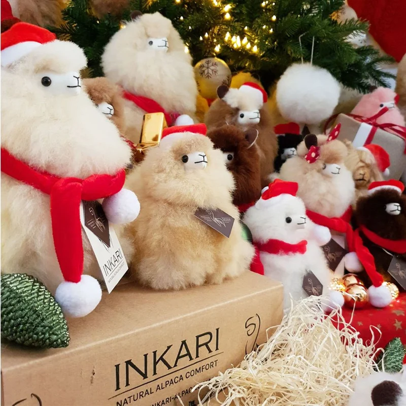 Eine Weihnachtsmannmütze für ein Alpaka