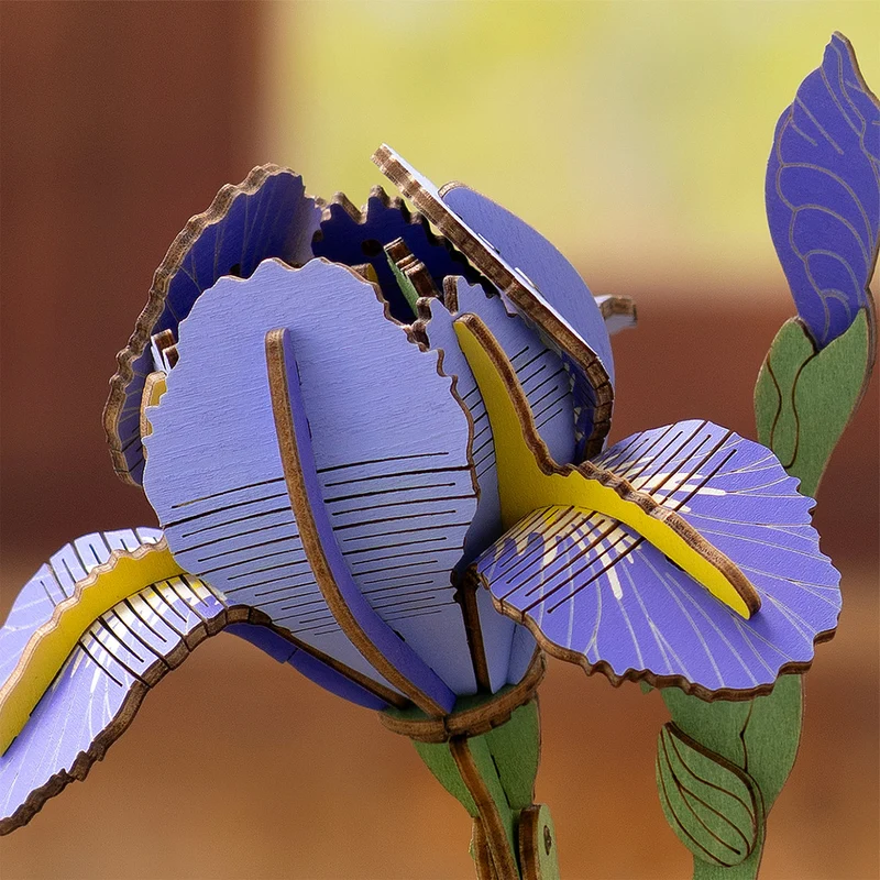 Robotime Purple Iris / Lila Iris TW121