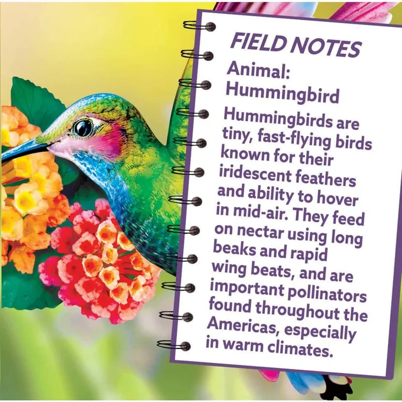 Hummingbird - Shaped (100pcs)