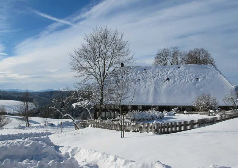 46621 Natur - Winterlandschaft Puzzle