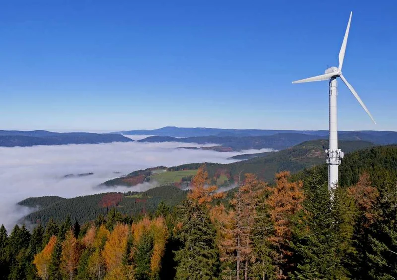 46628 Natur - Schwarzwald Puzzle
