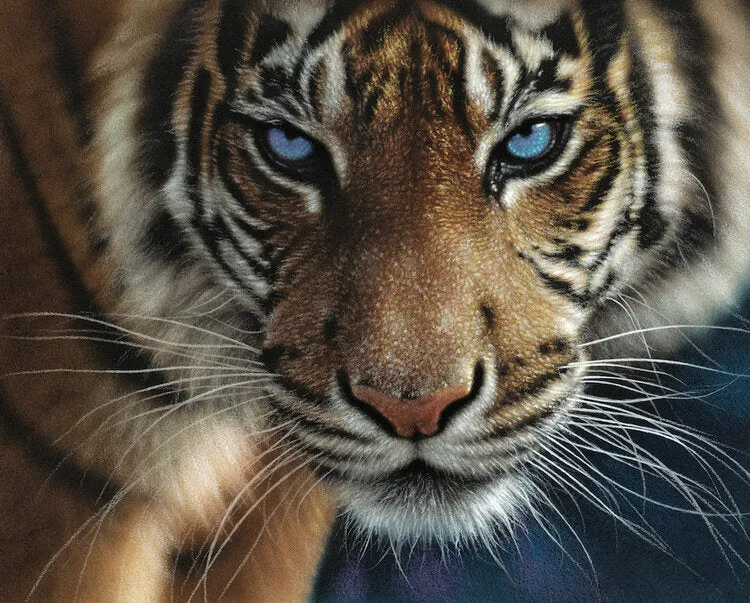 PFG- Hart Blue Eyes, Collin Bogle (PUZZLES FOR GOOD)
