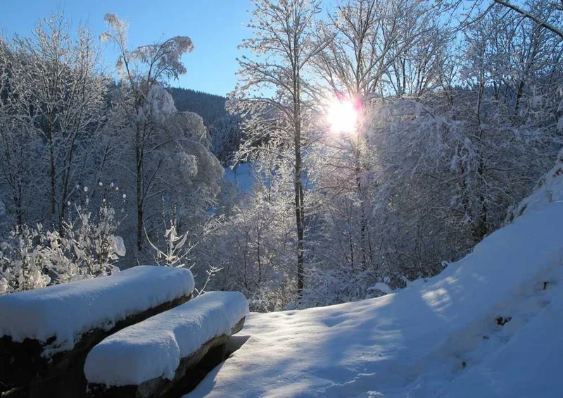 46670 Natur - Winterlich Puzzle