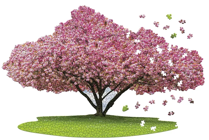 I Am Cherry Blossom (1000pcs)
