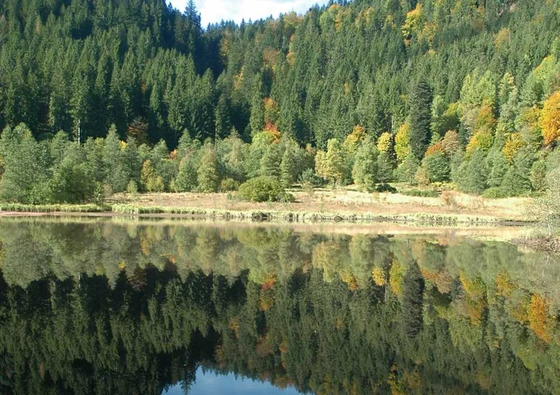 46576 Natur - Sankenbachsee Puzzle
