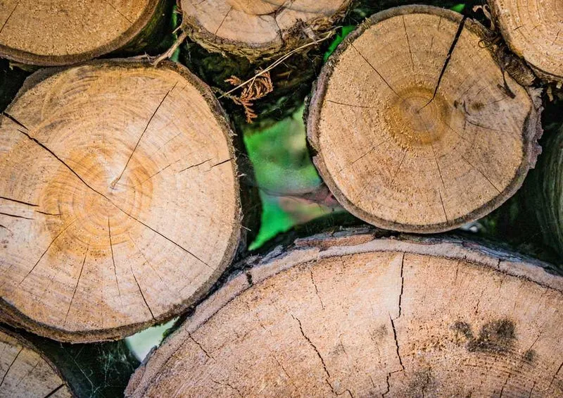 46581 Natur - Holz Puzzle
