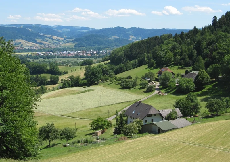46585 Natur - Schwarzwald Puzzle
