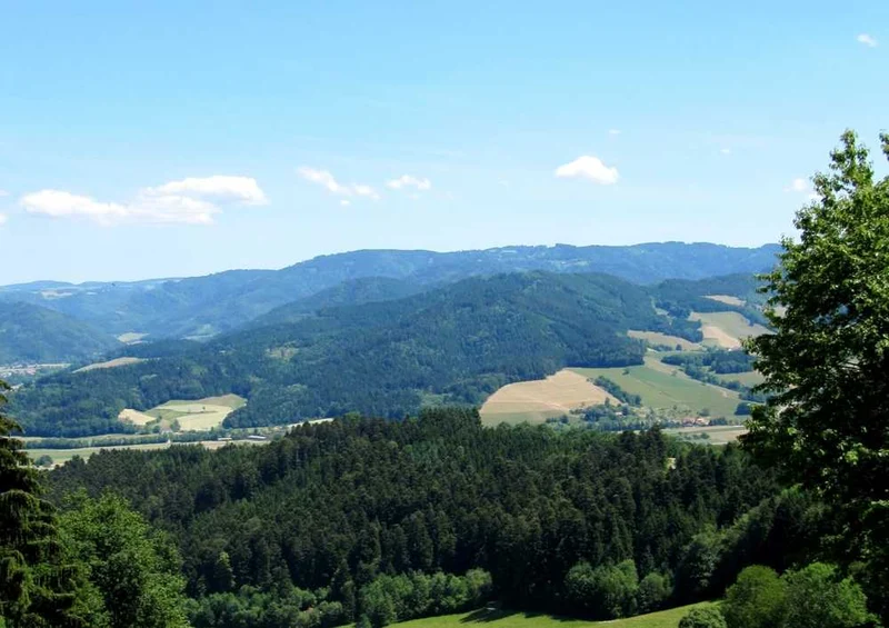 46607 Natur - Schwarzwald Puzzle
