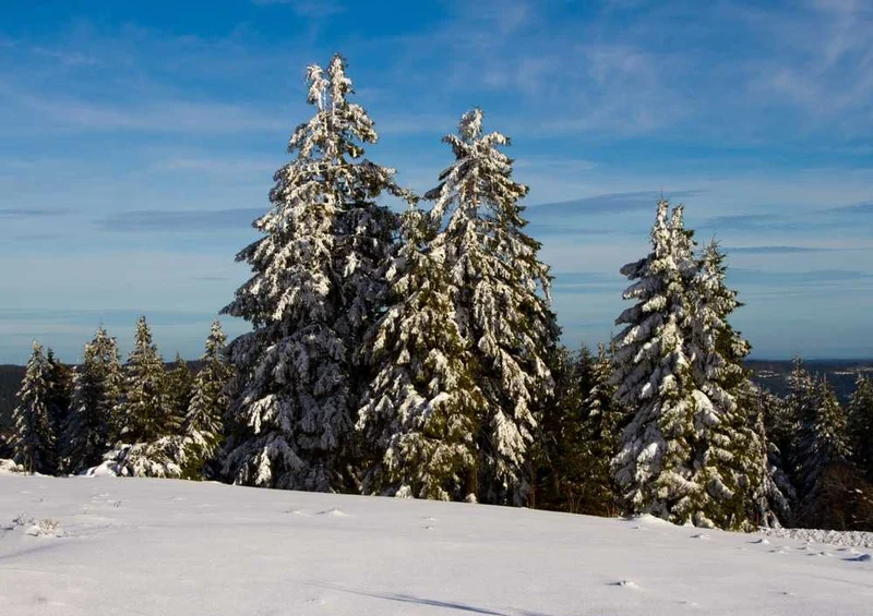 46612 Natur - Winter Puzzle