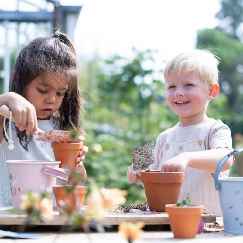 Erdbeere zum Selberanbau
