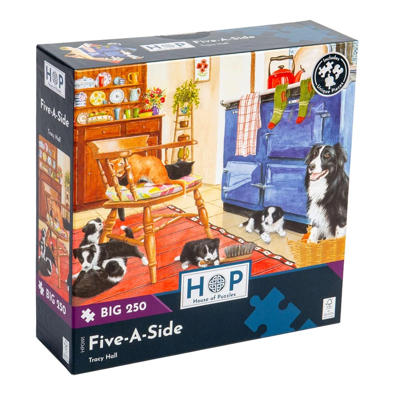 Five-A-Side - BIG 250 Piece Jigsaw Puzzle