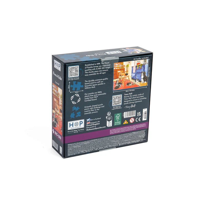 Five-A-Side - BIG 250 Piece Jigsaw Puzzle