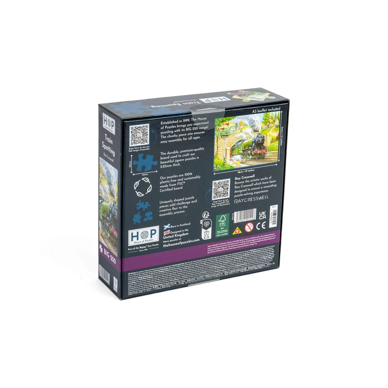 Train Spotting - BIG 250 Piece Jigsaw Puzzle