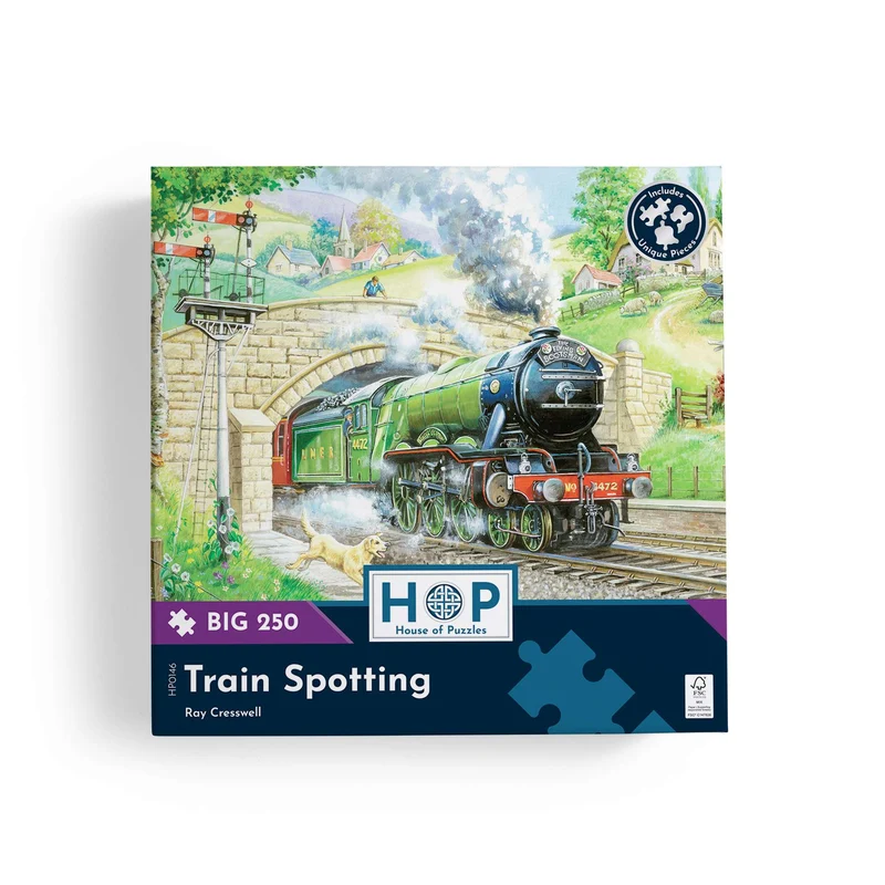 Train Spotting - BIG 250 Piece Jigsaw Puzzle
