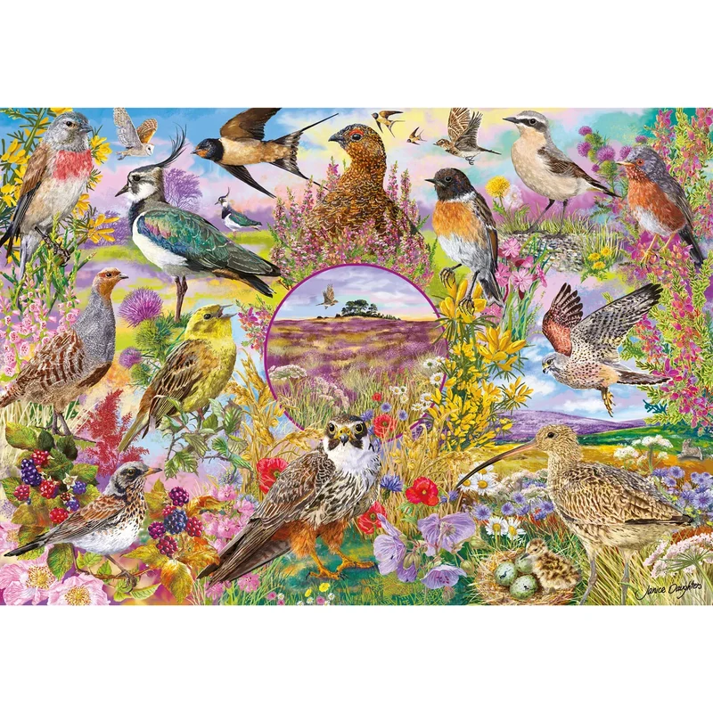 Wings in the Wild, RSPB (4x500pcs)