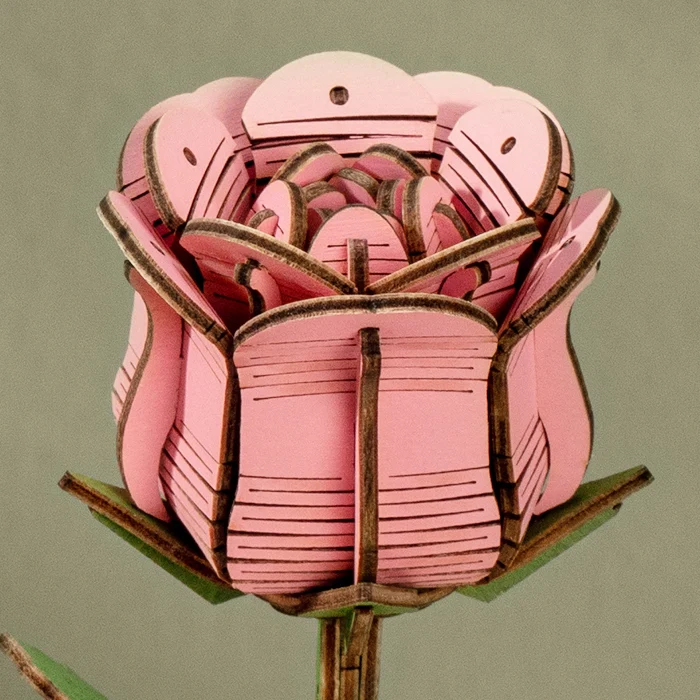 Robotime Pink Rose / Rosa Rose TW041