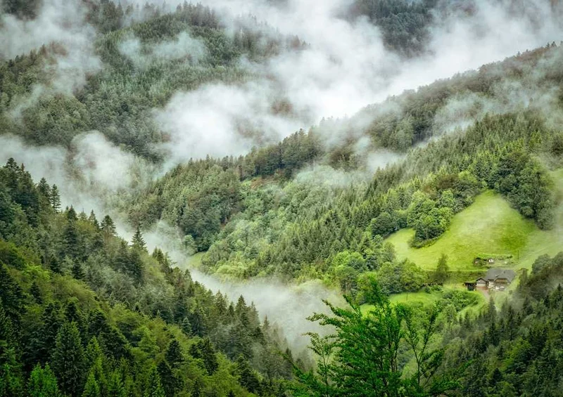 48016 Natur - Wald Puzzle