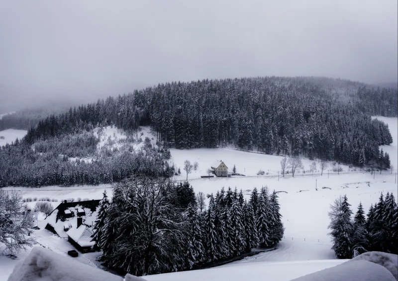 48873 Natur - Schwarzwald Puzzle