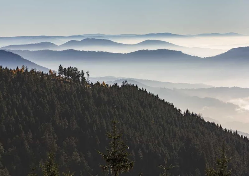 46729 Natur - Schwarzwald Puzzle