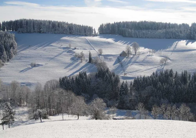 49218 Natur - Schneelandschaft Puzzle