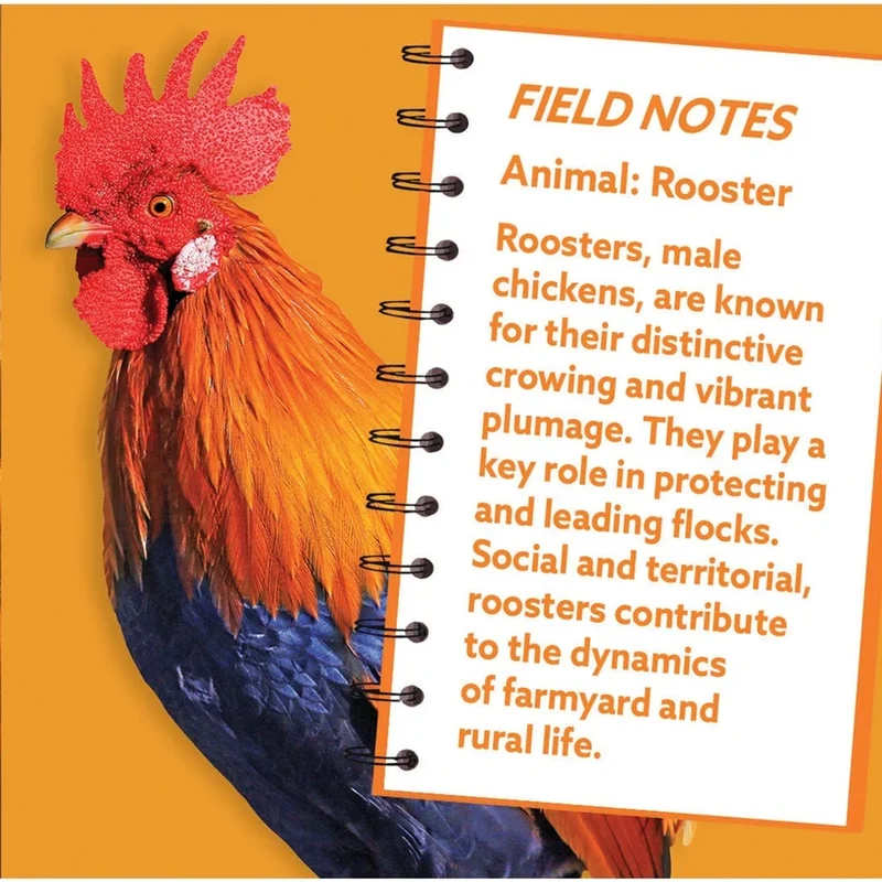 Rooster - Shaped (100pcs)