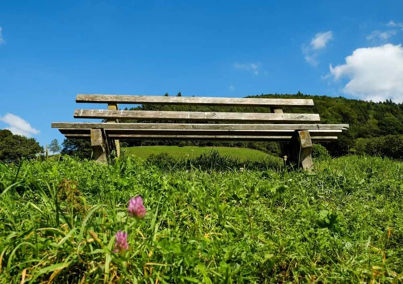 49570 Natur - Bergland Puzzle
