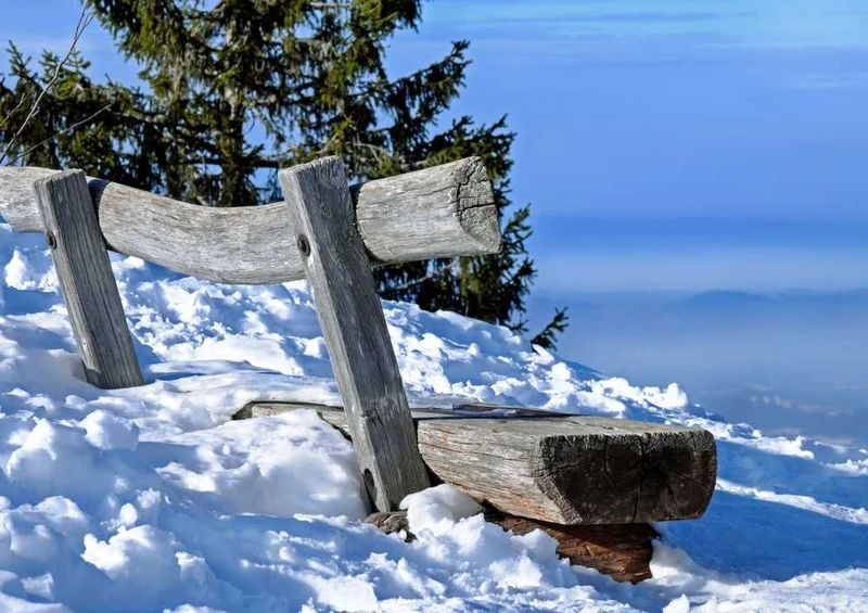 49591 Natur - Winterlandschaft Puzzle
