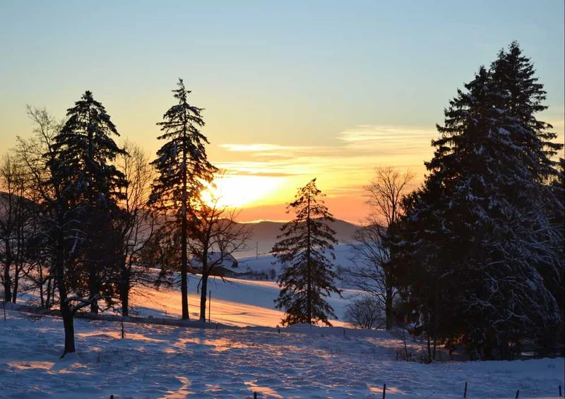 46695 Natur - Sonnenuntergang Puzzle