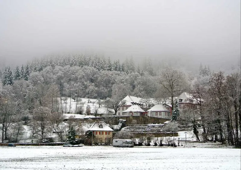46706 Natur - Winter Puzzle