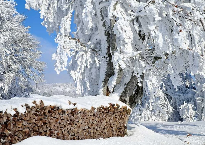 49651 Natur - Winterlandschaft Puzzle