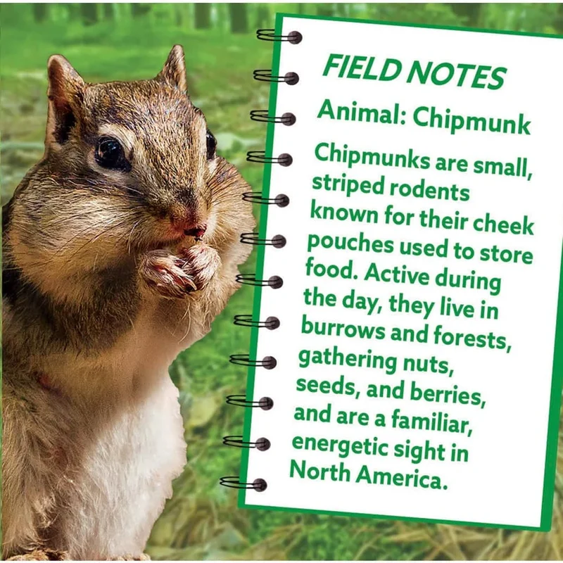 Chipmunk - Shaped (100pcs)