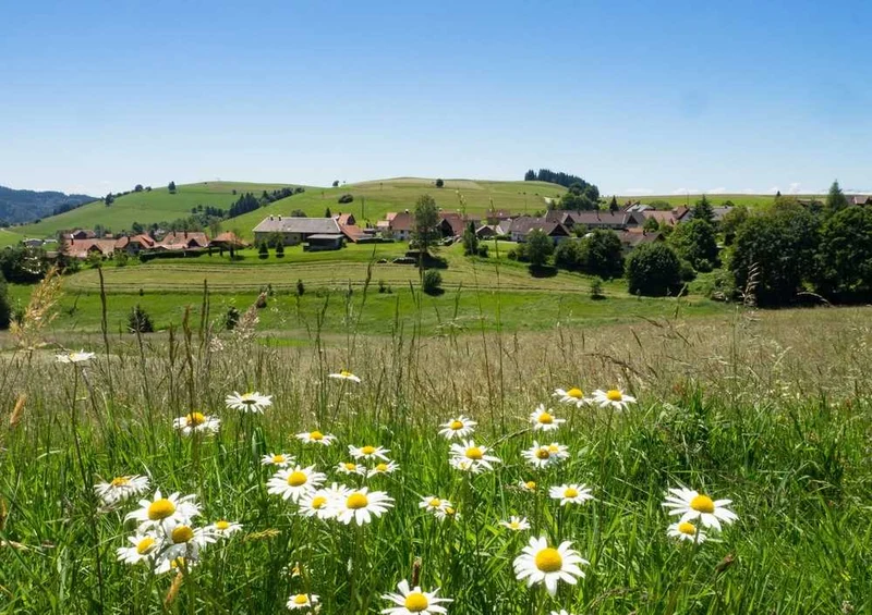 47993 Gebäude - Blumenwiese Puzzle