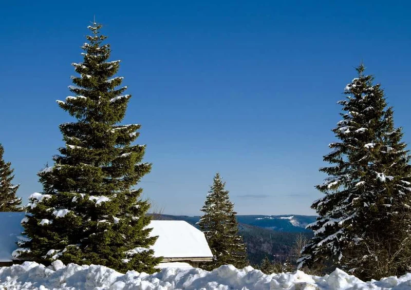 48050 Natur - Schnee Puzzle