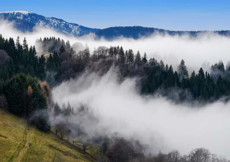 49683 Natur - Nebel Puzzle