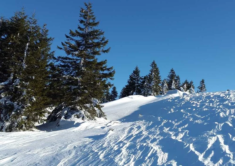 46780 Natur - Winterlandschaft Puzzle