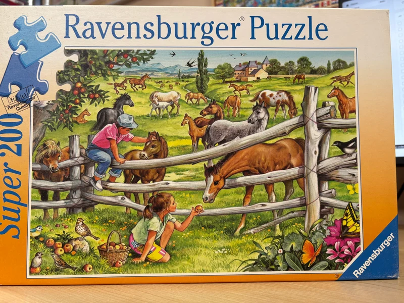 PFG Ravensburger Praddock (200 Super) (Usage/Used - PUZZLES FOR GOOD)