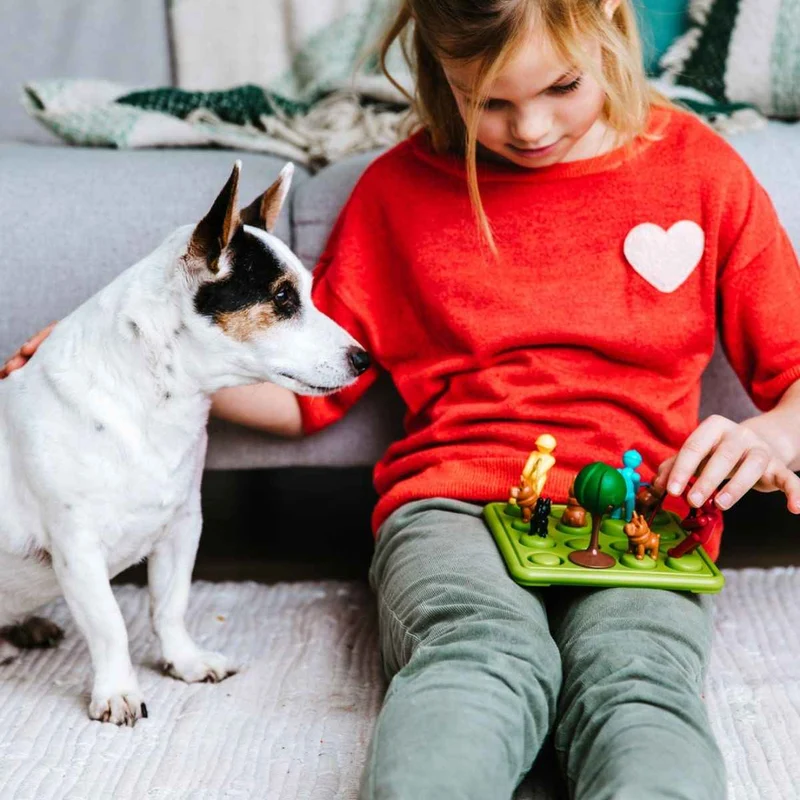 Logikspiel Smart Games – Hunde beim Spaziergang (PL)