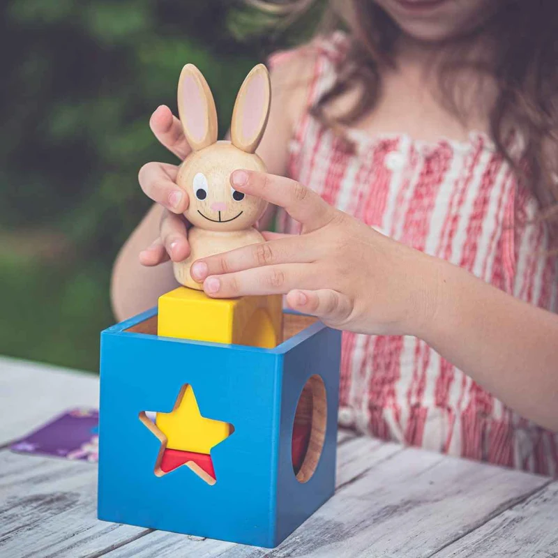 Logikspiel Smart Games – Bunny Boo (ENG)