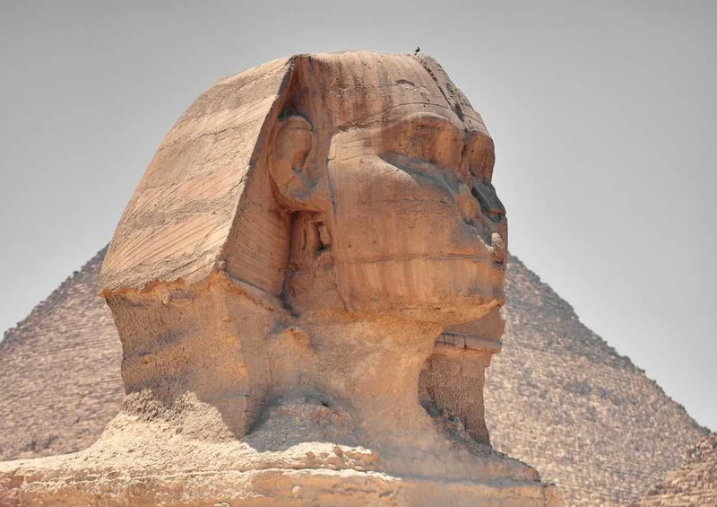 49907 Reisen - Sphinx Puzzle
