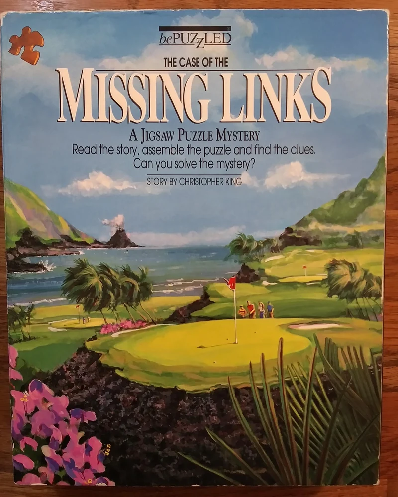PFG Missing Links (500pcs) (Usage/Used - PUZZLES FOR GOOD)
