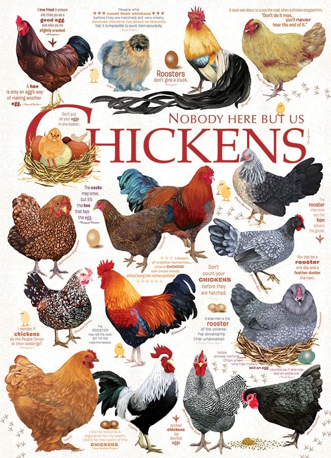 PFG Chicken Quotes, Ashley Davis (Usage/Used - PUZZLES FOR GOOD)