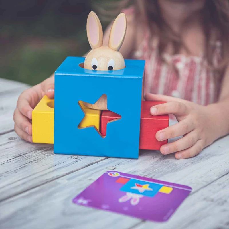 Logikspiel Smart Games – Kleiner Hase (PL)
