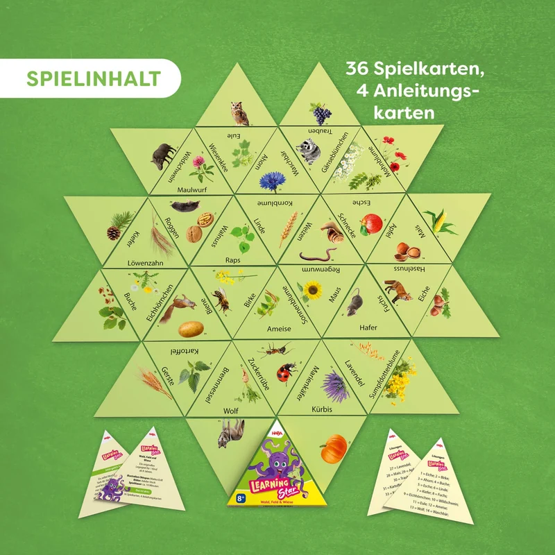 Learning Star: Wald, Feld & Wiese, deutsch