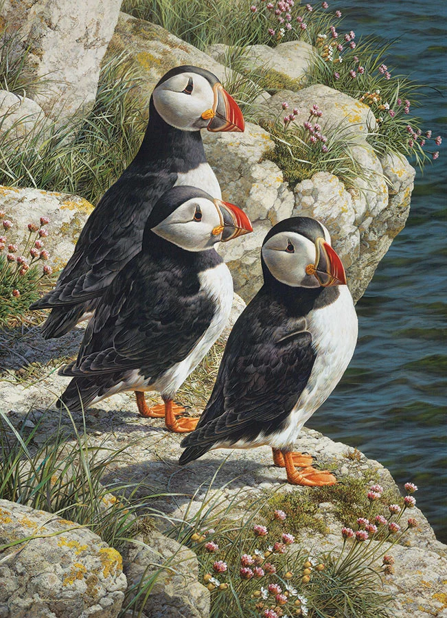Fisherman's Wharf, Carl Brenders