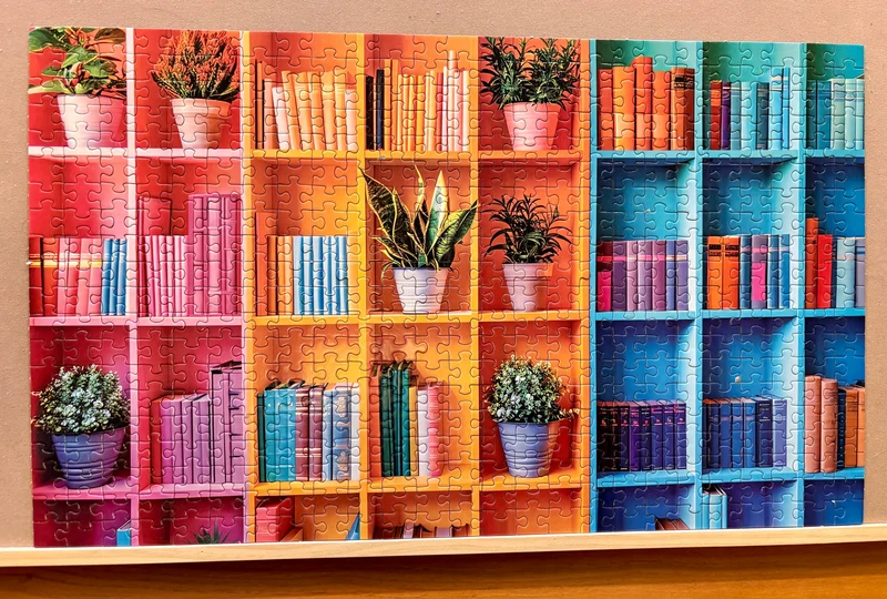 PFG Colorful Organised Bookshelf (Usage/Used - PUZZLES FOR GOOD)