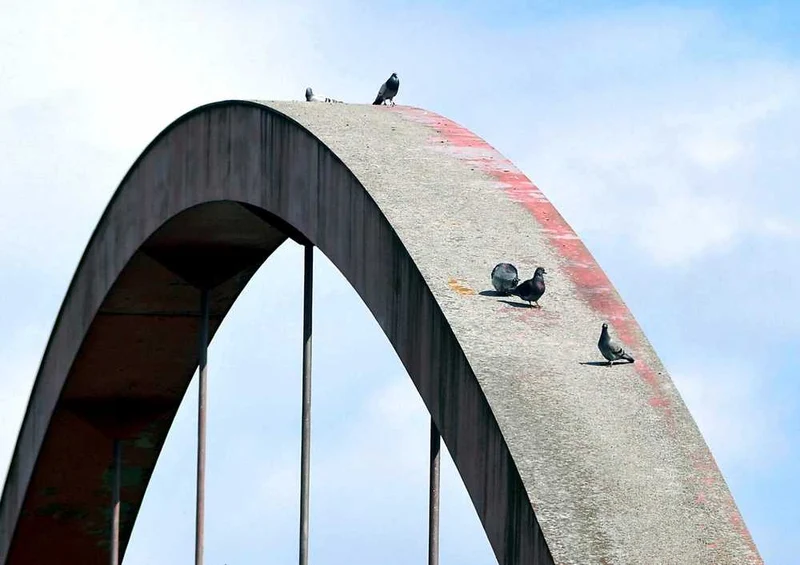 55444 Gebäude - Brücke Puzzle