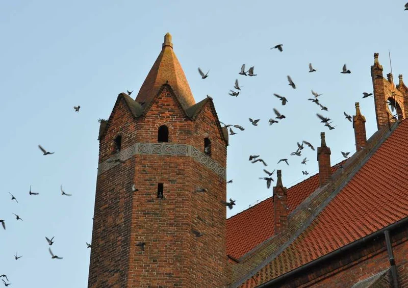 54620 Hintergründe - Kirche Puzzle