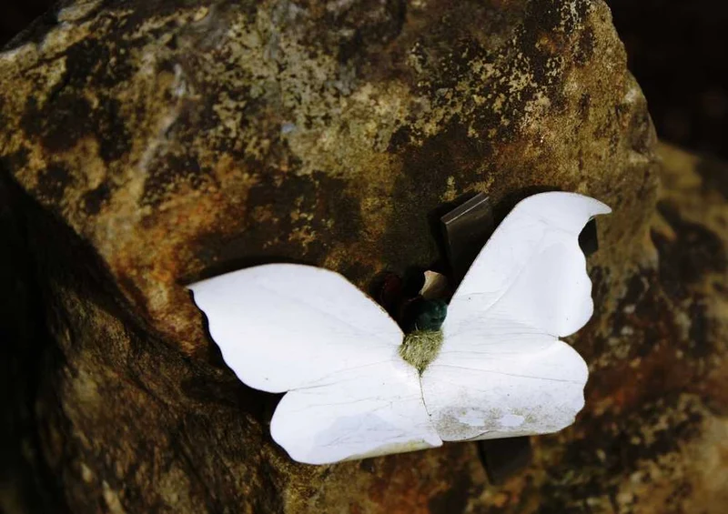 56856 Hintergründe - Schmetterling Puzzle